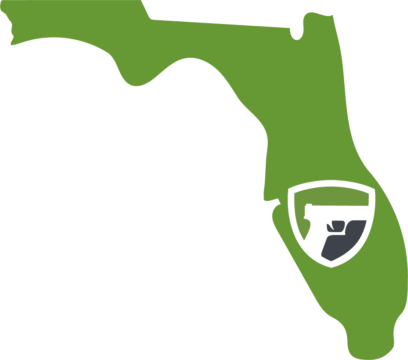 Gun Transfer Laws in Florida
