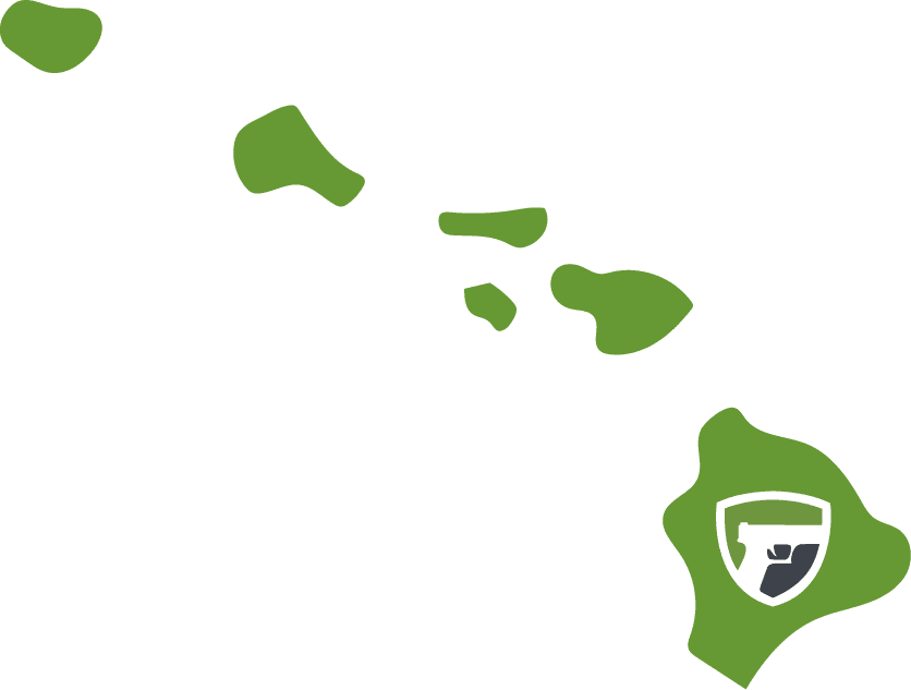Gun Transfer Laws in Hawaii