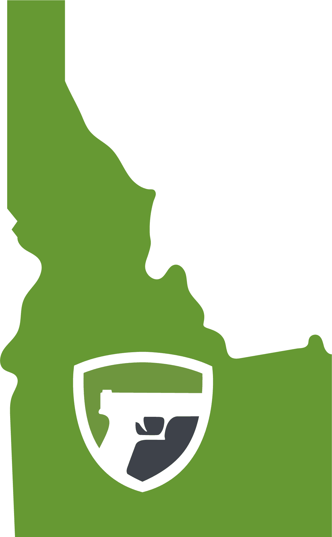 Gun Transfer Laws in Idaho