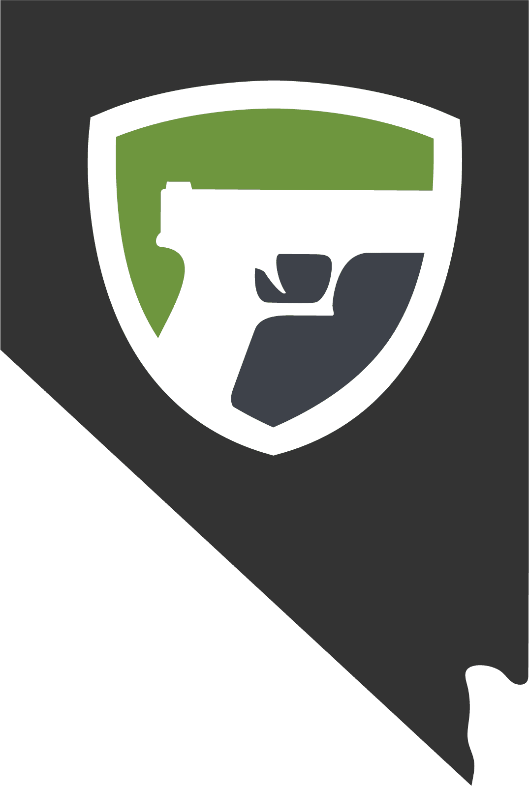 Gun Transfer Laws in Nevada