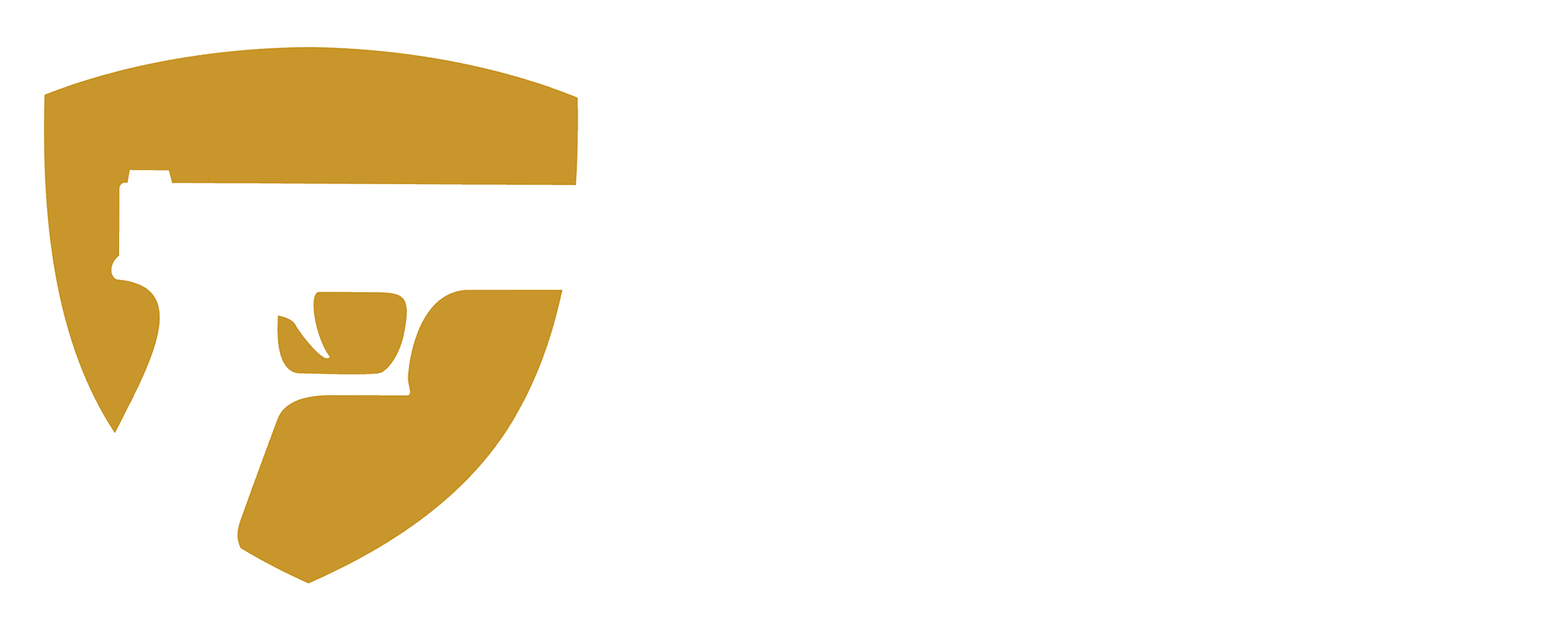 GunVault