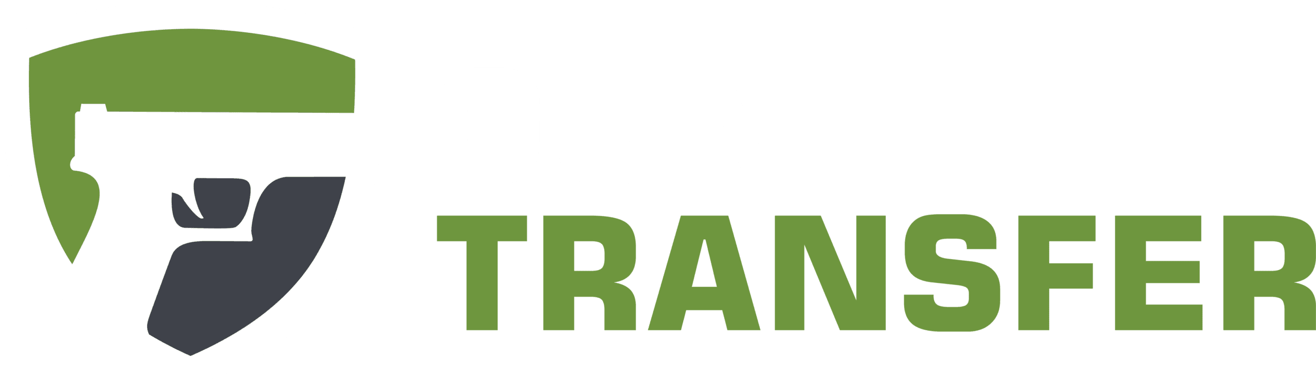 GunTransfer